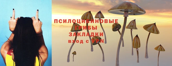 COCAINE Горно-Алтайск