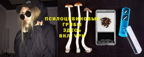 COCAINE Горно-Алтайск