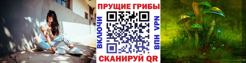 Галлюциногенные грибы Psilocybe  Москва 