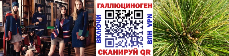 Галлюциногенные грибы MAGIC MUSHROOMS Москва