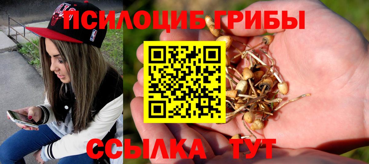 Галлюциногенные грибы Cubensis  Вход с VPN  Галлюциногенные грибы Psilocybine cubensis  Москва 